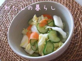 ✿市販品いらず♪浅漬けの素✿