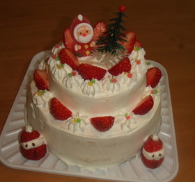 いちごの２段重ねクリスマスケーキ