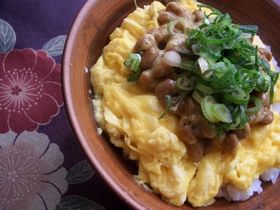 黄色い丼♪炒り卵とからし納豆～