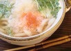 明太みぞれうどん