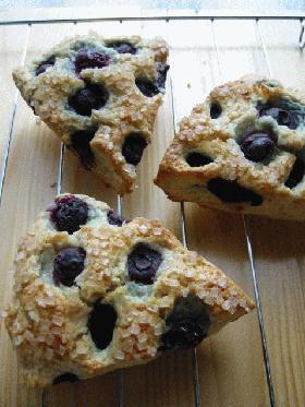 Blueberry Scone