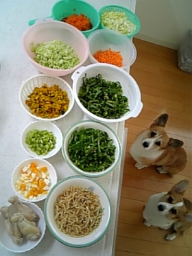 ≪わんこ飯≫　　　野菜ストック