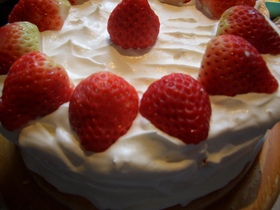苺生クリームケーキ
