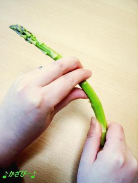 必見！アスパラの折り方