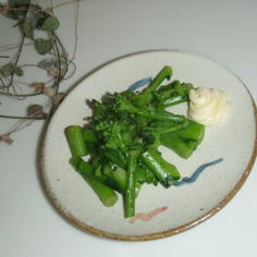 はなっこり~を食べよう♥ はなっこり~を食べよう♥