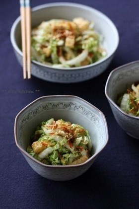 からし酢醤油で。白菜と桜海老のサラダ