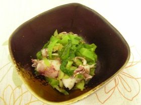 春です　簡単ひいかとキャベツのおひたし