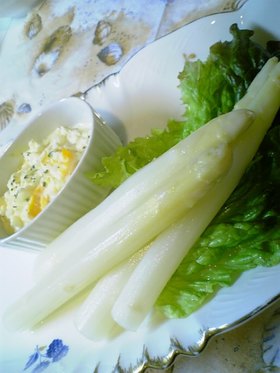 生のホワイトアスパラを茹でよう♪