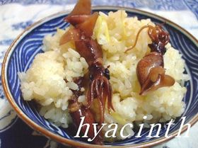 ホタルイカご飯