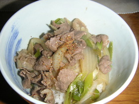 牛丼～覚え書きです～