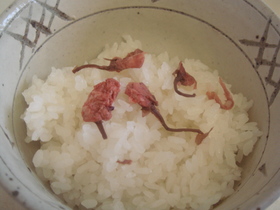 さくらごはん