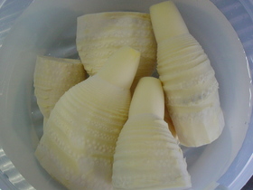 たけのこの茹で方☆あく抜き保存