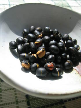 黒豆で♡ついつい手が出るカリポリ炒り大豆