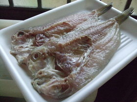 干物を作りましょう♪