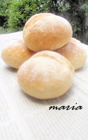 Petit♥フランス