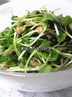 超簡単！貝割れサラダ