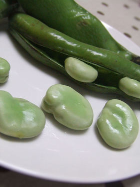 八百屋さんおすすめ！そら豆の塩茹で方法❀