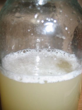 捨てずに自家製酵母：メロンの皮酵母