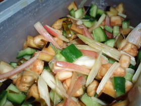 夏野菜☀の薬味
