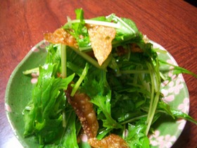 柚子こしょう香る水菜サラダ