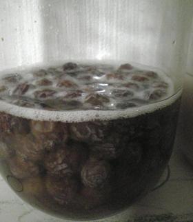 自家製レーズン酵母