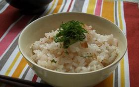 さっぱり☆梅ごはん