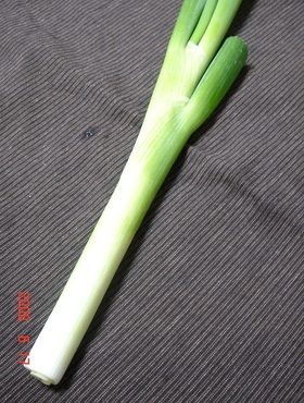 ◎完全版◎焼肉のねぎダレ◎