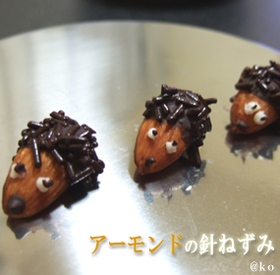 アーモンドの針ねずみ