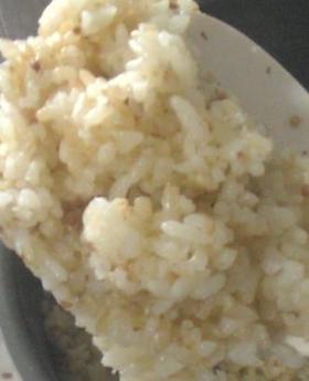 もったいない！韃靼そば茶がらごはん