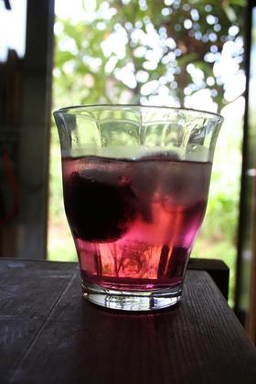 スモモ酒