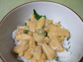 うに丼のたれ