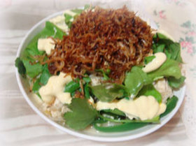 カリカリおじゃこのくずし豆腐丼