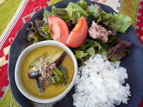 なすとピーマンとひき肉のグリーンカレー♫
