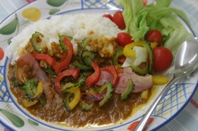 夏の彩りゴーヤカレー