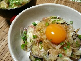 夏のさっぱり乗っけご飯