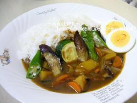 ありです♫ひじきの夏野菜カレー