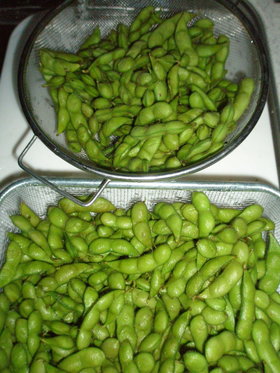 だだちゃ豆のおいしいゆで方・・・農家直伝