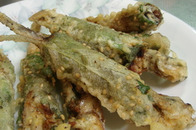 香ばし*ししゃものおかか梅揚げ