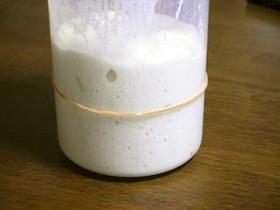 中種を起こす◆自家製天然酵母の基本 