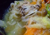 鶏と野菜のみぞれ蒸し煮