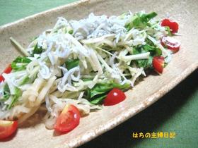 大根と水菜のぴりっとサラダ
