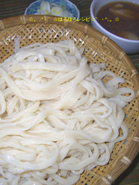 手打ちうどん