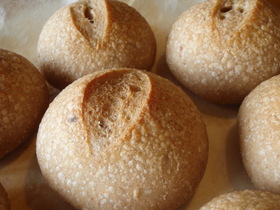 自家製酵母の液種で作る★おからの丸パン