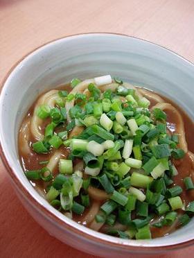 ねぎ沢山のカレーうどん