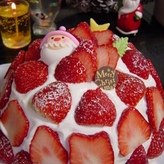クリスマスケーキ苺ズコット&モントン使用 クリスマスケーキ苺ズコット&モントン使用
