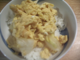 キャベツ入りたまご丼