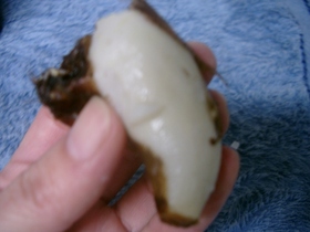母直伝！つるんとむける里芋の皮の剥き方♪