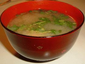 香菜の味噌汁