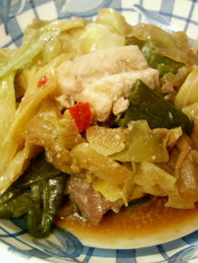回鍋肉・ビタクラフトで作ってみますた