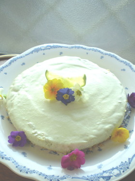 グリーンがきれいアボカドのチーズケーキ♪